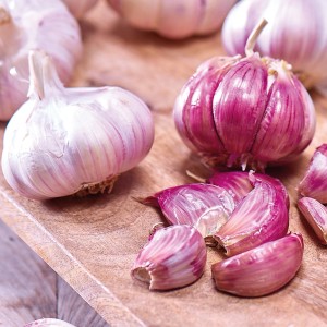 Knoblauch Morado, 2 Stück, auf Holzbrett. Ideal zum Pflanzen im Garten.