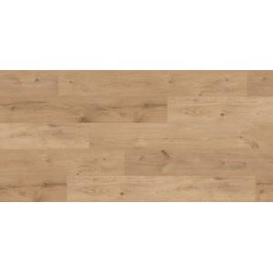 Kaindl Laminat Eiche Ferrara Beachlin, 8mm stark, mit authentischer Holzstruktur.