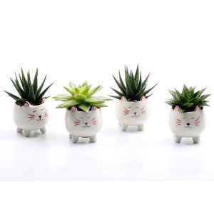 Verschiedene Sukkulenten im Keramiktopf mit Katzenmotiv, Höhe 10-20cm, Topf-Ø 6cm.