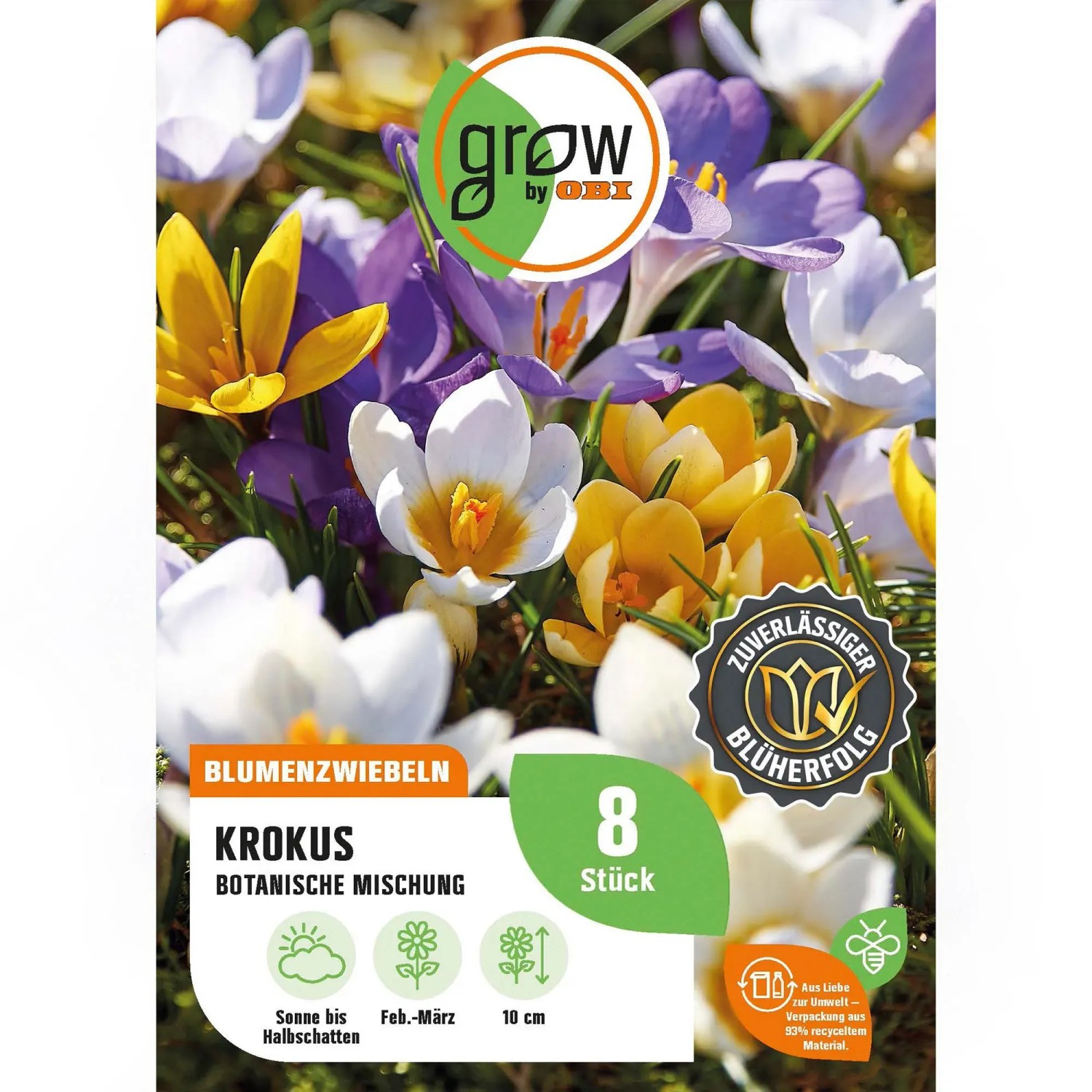 GROW by OBI Krokus Botanische Mischung, 8 Stück, verschiedene Farben.