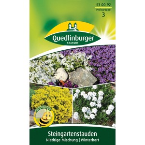 Quedlinburger Steingarten Staudenmischung, niedrige, winterharte Sorten für Steingärten und Gräber.