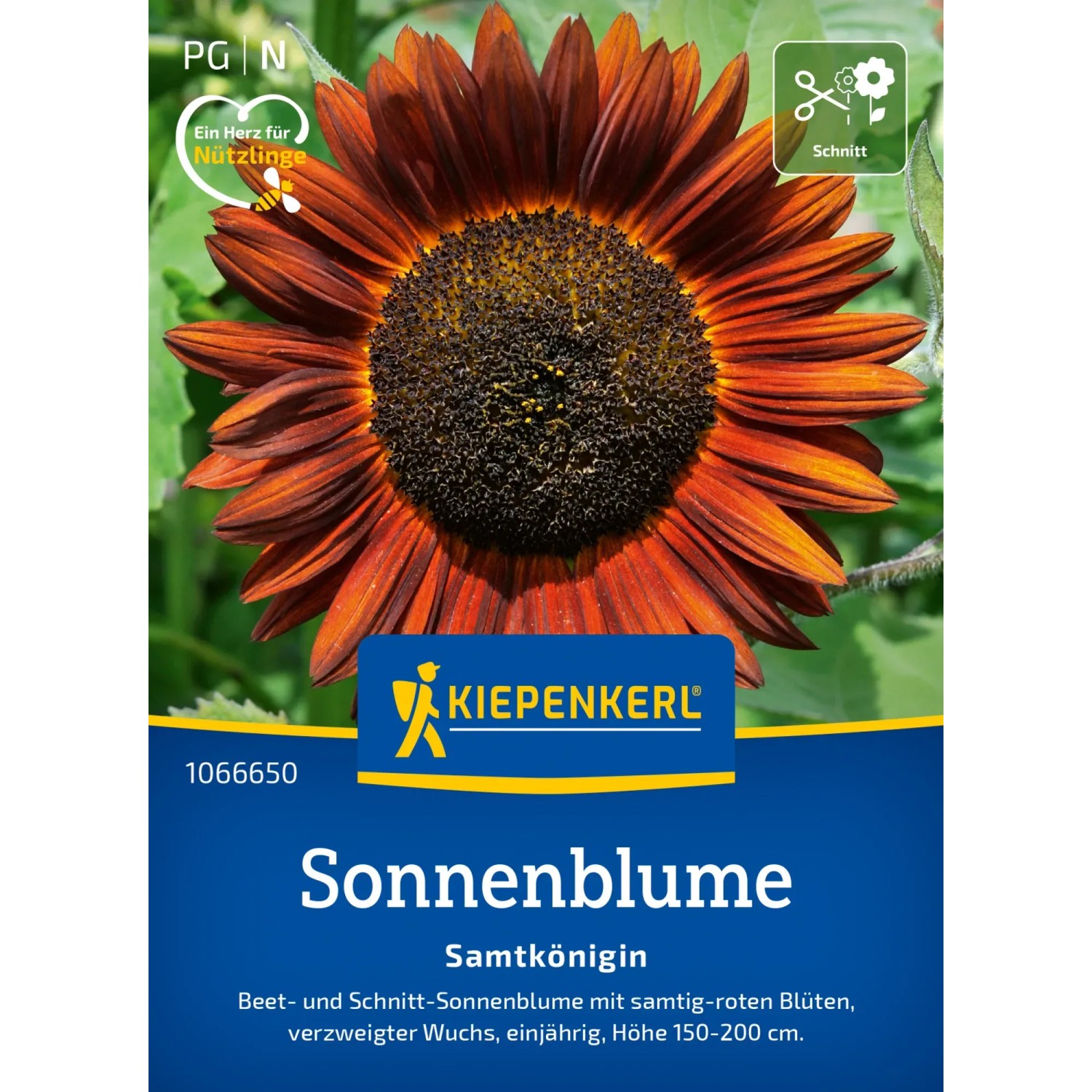 Sonnenblume Conchos 10x30mm Silber Sonnenblume Rot Türkis Concho