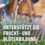 Bewässerung von Lavendel mit Compo Bio-Pflanzendünger Mediterran für üppige Blüten.