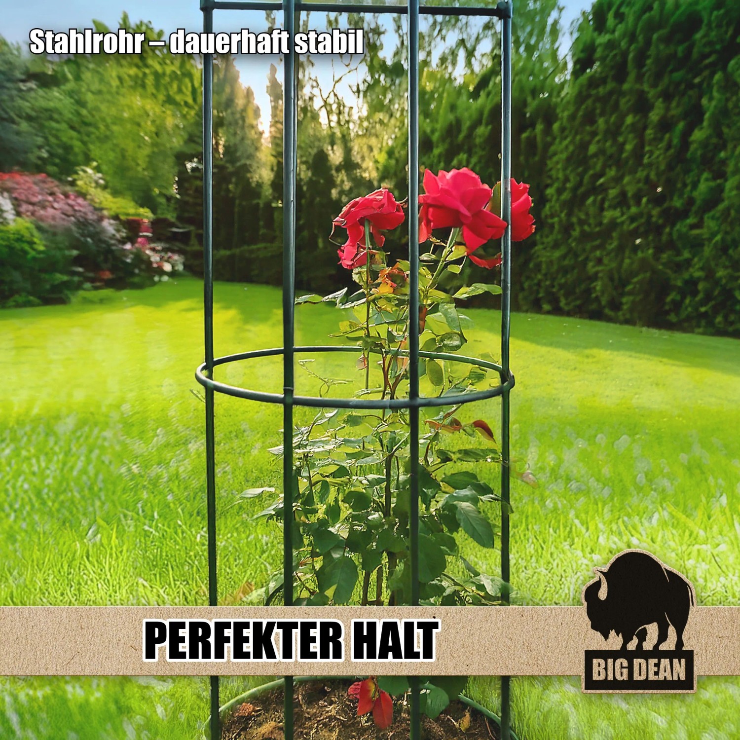 BigDean Rankgitter Metall Rosen Spalier 1,93 Hohe Rankhilfe Garten kaufen bei OBI