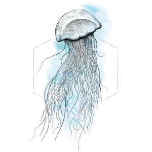 Komar Wandbild Jellyfish Watercolor, 50x70 cm, Quallen Aquarell Optik.