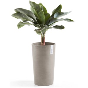 Ecopots Amsterdam Pflanztopf, halbhoch, braungrau, 50 cm, mit grüner Pflanze.