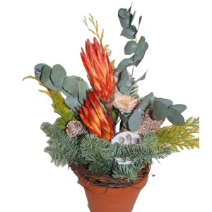 Vasen-Grabstrauß Nobilis, 18 cm, mit roten Protea-Blüten, Tannenzweigen und Eukalyptus in Terrakotta-Vase.