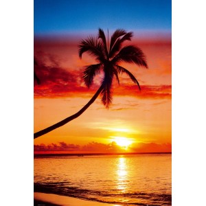Maxiposter Sun Set - Palm tree 61 cm x 91,5 cm