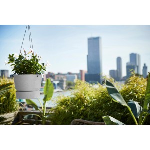Elho Hängeampel Greenville in Living Beton Optik, Ø 24cm, mit weißen Blüten vor Stadtkulisse.