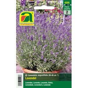 Austrosaat Lavendel Violett Samenpackung, Lavandula angustifolia.