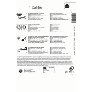 Kiepenkerl Kaktus-Dahlie Ludwig Helfert, Packung mit Infos zu Pflanzung und Pflege.