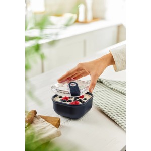 Rotho Frischhaltedose Ela, 0,425 l, dunkelblau, mit Joghurt und Beeren gefüllt.