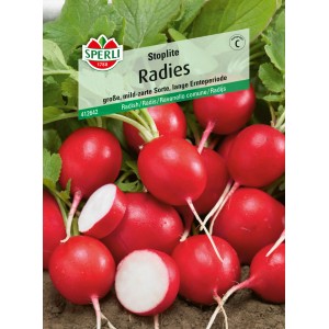Sperli Radieschen Radies Stoplite Samen: Rote, runde Radieschen mit Grün.