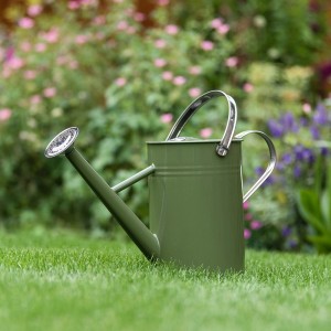 Olivgrüne Kent & Stowe Gießkanne (4,5 l) aus verzinktem Stahl mit Brauseaufsatz im Garten.
