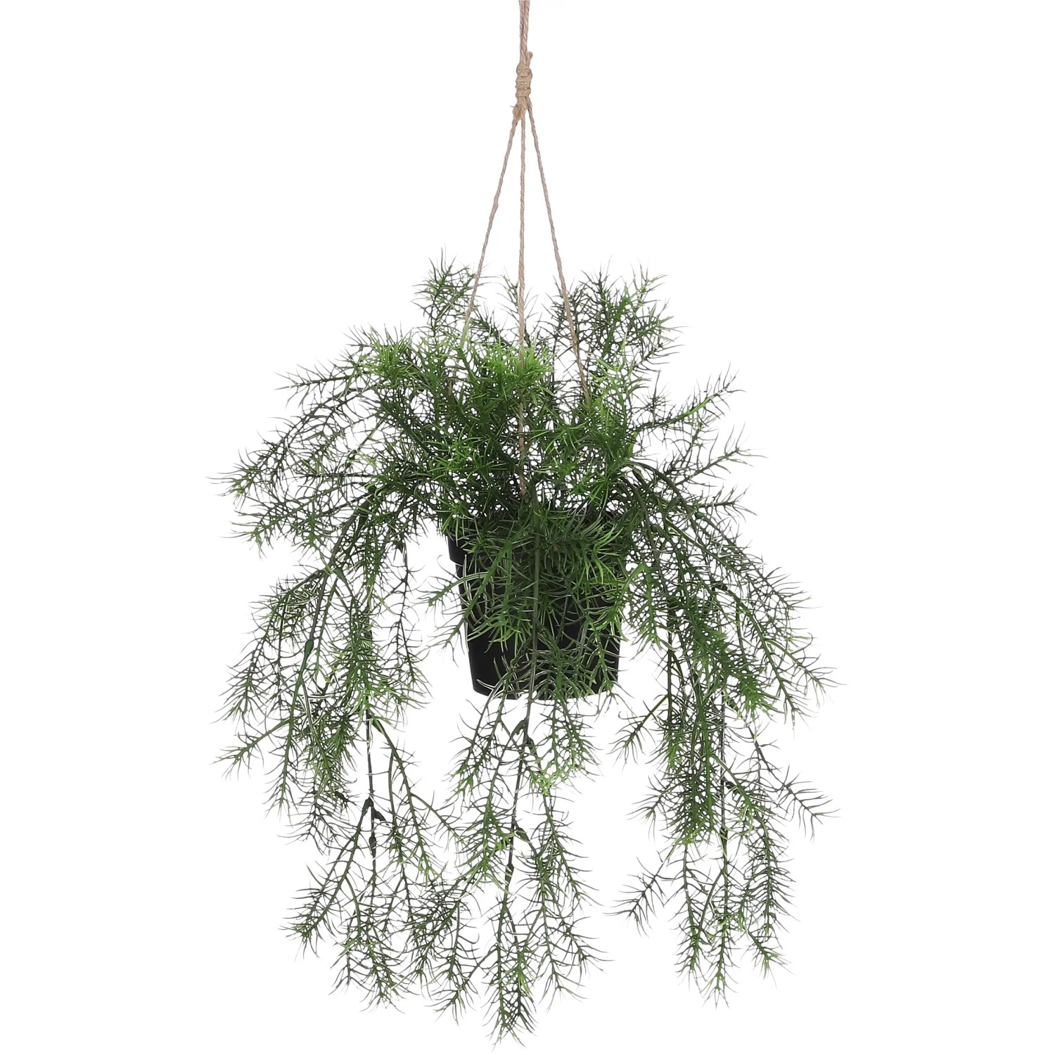 Mica Decorations Kunstpflanze Springeria Hngend in Topf 40 cm x 20 cm Grn  kaufen bei OBI