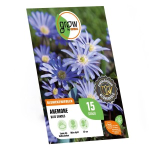 Packung GROW by OBI Anemonen blanda Blue Shades, 15 Stück. Blaue Frühlingsblüher für Beet und Garten.