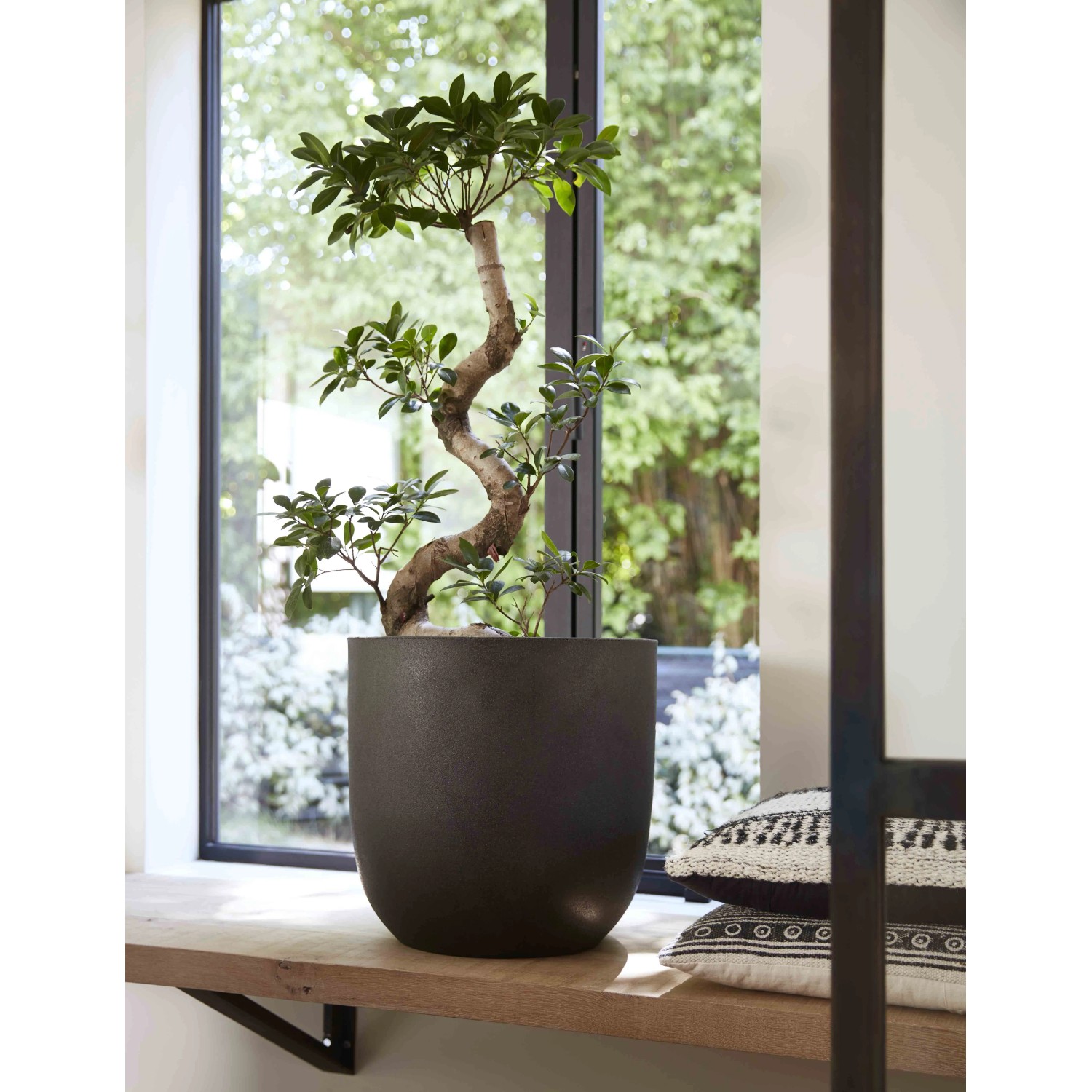 Capi Pflanztopf Smooth rund  35 cm x 34 cm Schwarz kaufen bei OBI
