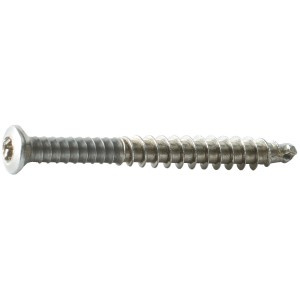 Terrassenschraube Hartholz V2A, 5,5x60mm, Edelstahl, geeignet für Terrassendielen.