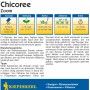 Kiepenkerl Chicoree Zoom F1-Hybride Samenpackung für ca. 200 Pflanzen.