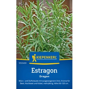 Kiepenkerl Estragon Dragon Saatgut: Würzpflanze mit grünen Blättern für Beet und Kübel.