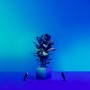 WiZ LED-Außenstandleuchte Spot Erweiterung mit Pflanze in Szene gesetzt.