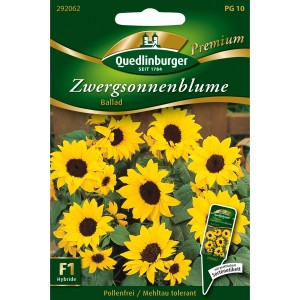 Samenpackung Quedlinburger Zwerg-Sonnenblume Ballad mit gelben Blüten und dunkler Mitte.