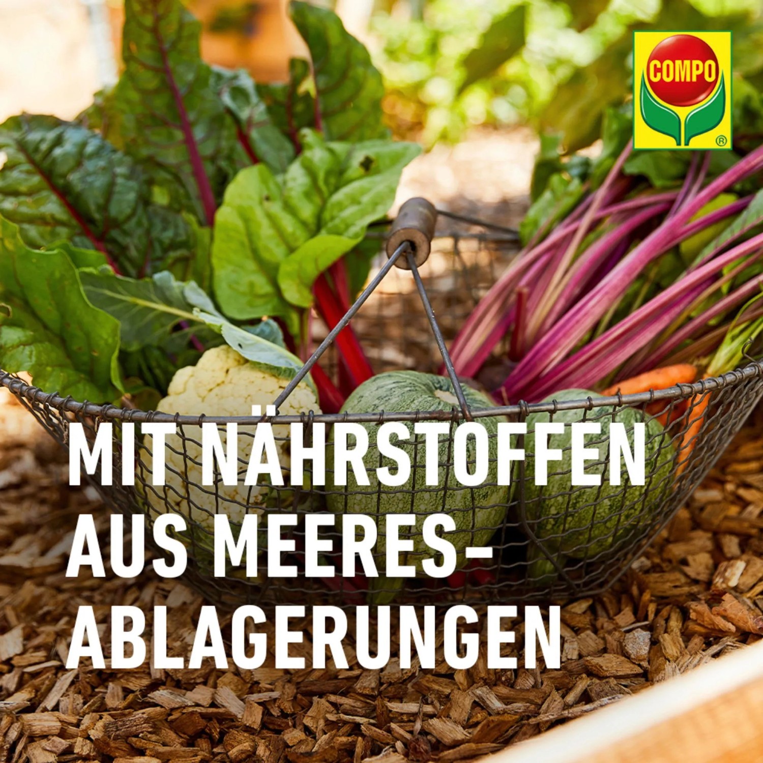 Compo Bio NaturDnger Guano 1 kg kaufen bei OBI