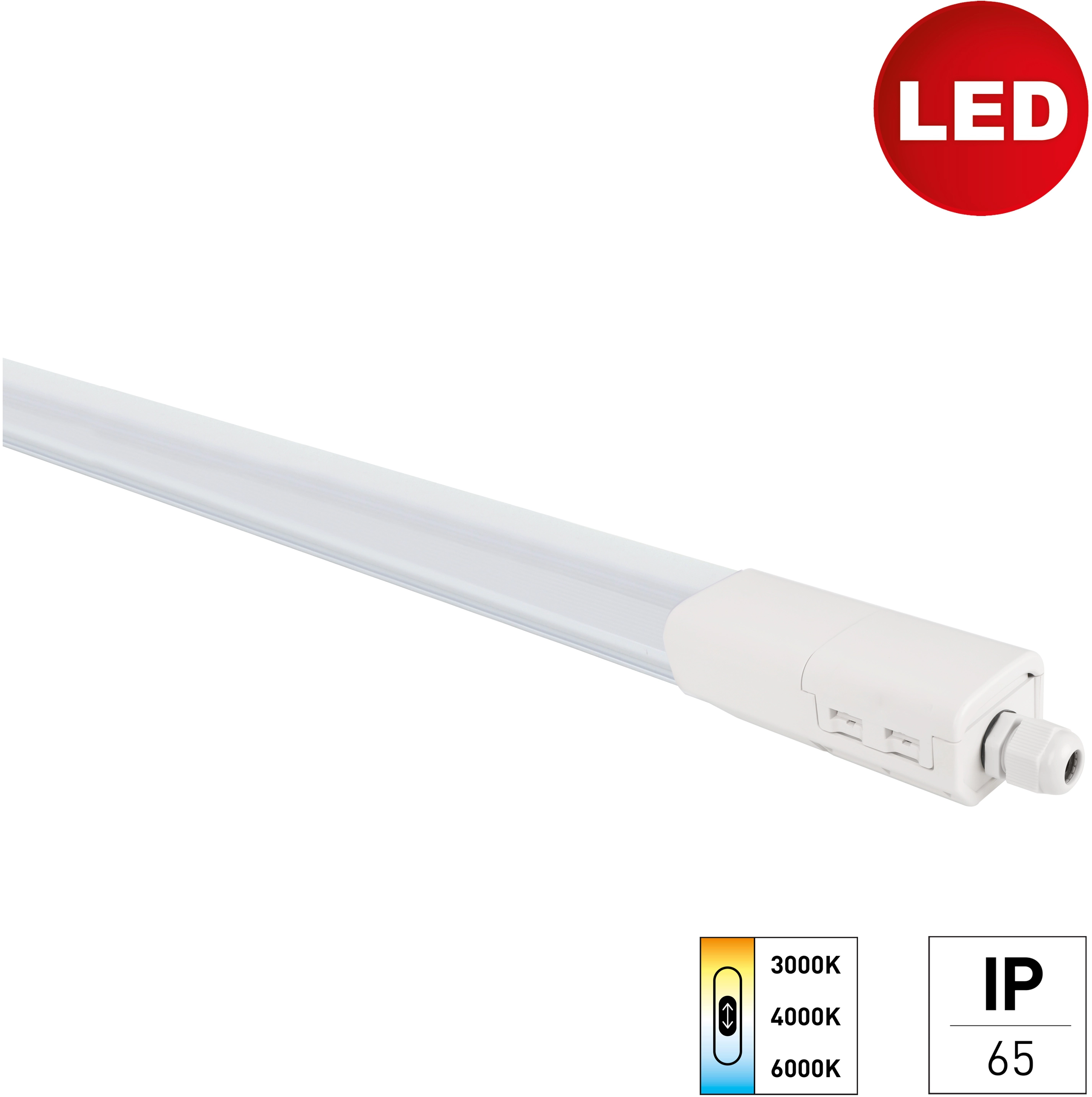 LED-Wannenleuchte Plus3 Farbwechsel IP65 36 W Grau Länge 110 cm kaufen bei  OBI