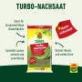 Packung Compo Rasen Nachsaat Turbo 1 kg für schnelle Rasenreparatur.