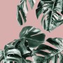 Komar Vlies Fototapete Monstera Rosé, 100x250cm, mit tropischen Blättern auf rosa Hintergrund.