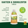 Compo Kakteendünger 250 ml_2