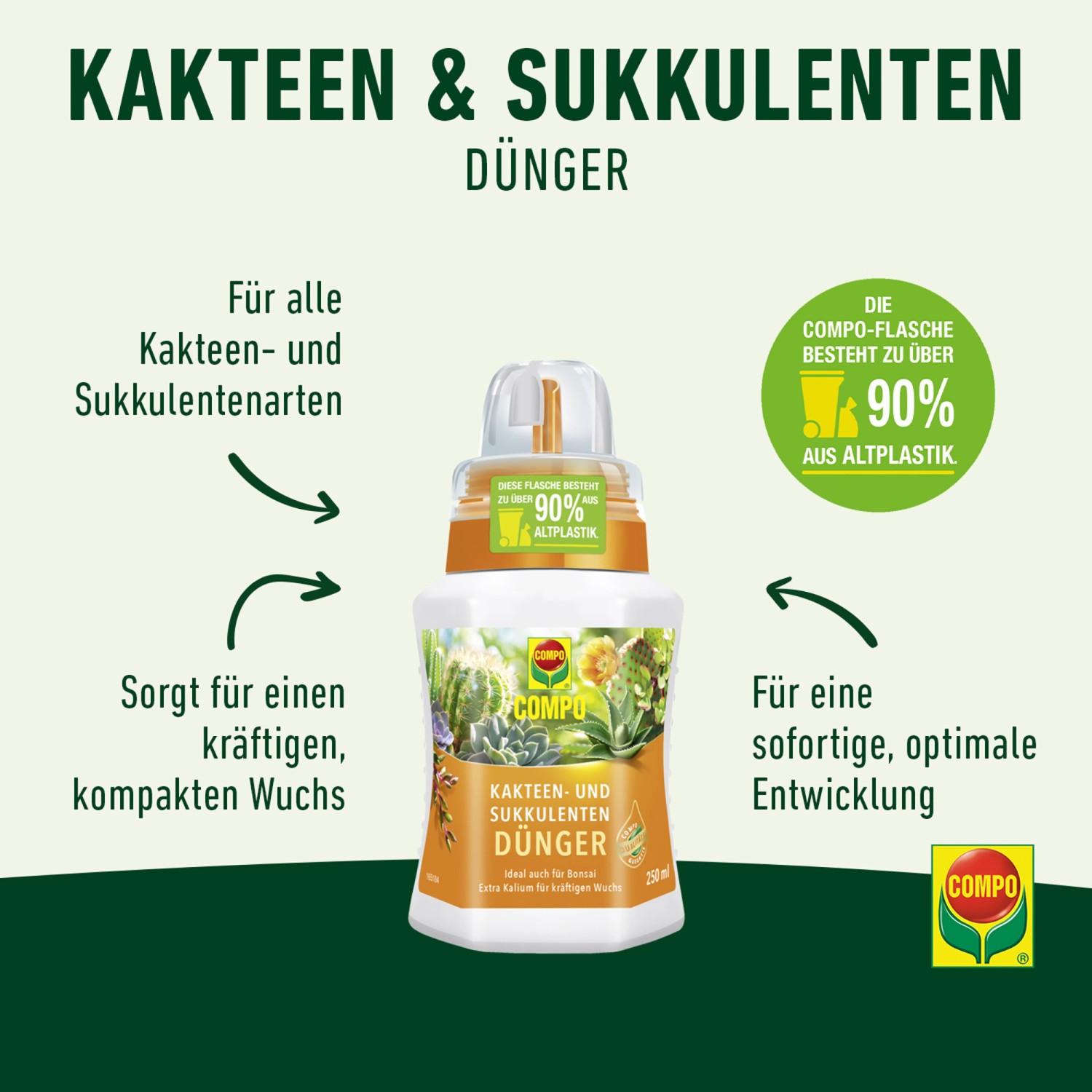 Compo Kakteendünger 250 ml_2