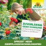 Frau sprüht Neudorff Spruzit Neem Schädlingsfrei auf Rosen. Schädlingsbekämpfung für Zierpflanzen.