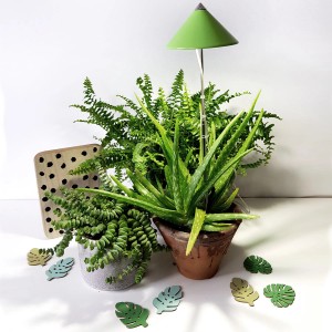 Parus LED-Pflanzenlampe Sunlite 7W Grün mit Pflanzen im Topf für die Pflanzenanzucht.