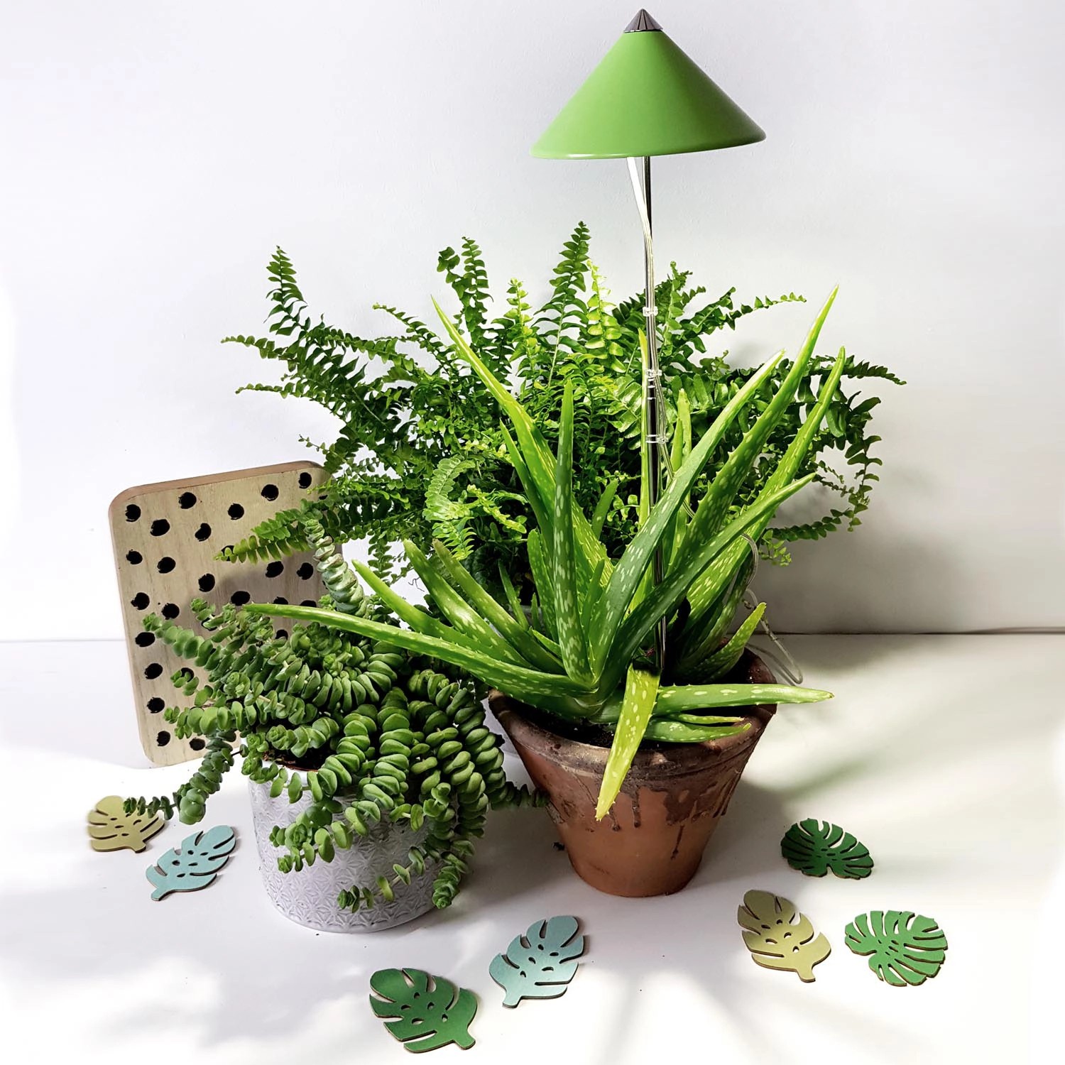 Parus LED-Pflanzenlampe Sunlite 7W Grün mit Pflanzen im Topf für die Pflanzenanzucht.