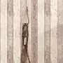 Beige Vliestapete im Holz-Look Surfing & Sailing mit maritimen Designelementen.