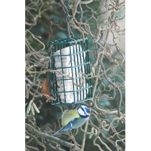 Grüner Dobar Vogelfutterspender mit Energieblock und Blaumeise im Baum.