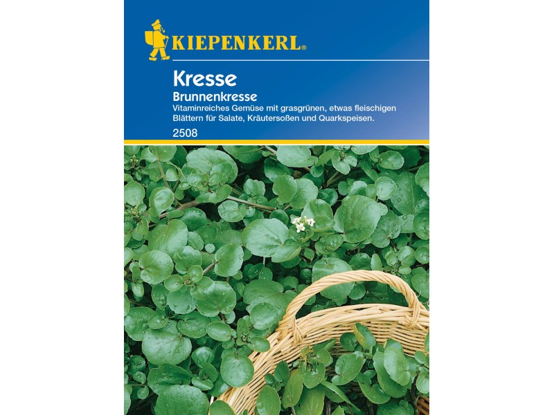 Kiepenkerl Kresse "Brunnenkresse" kaufen bei OBI