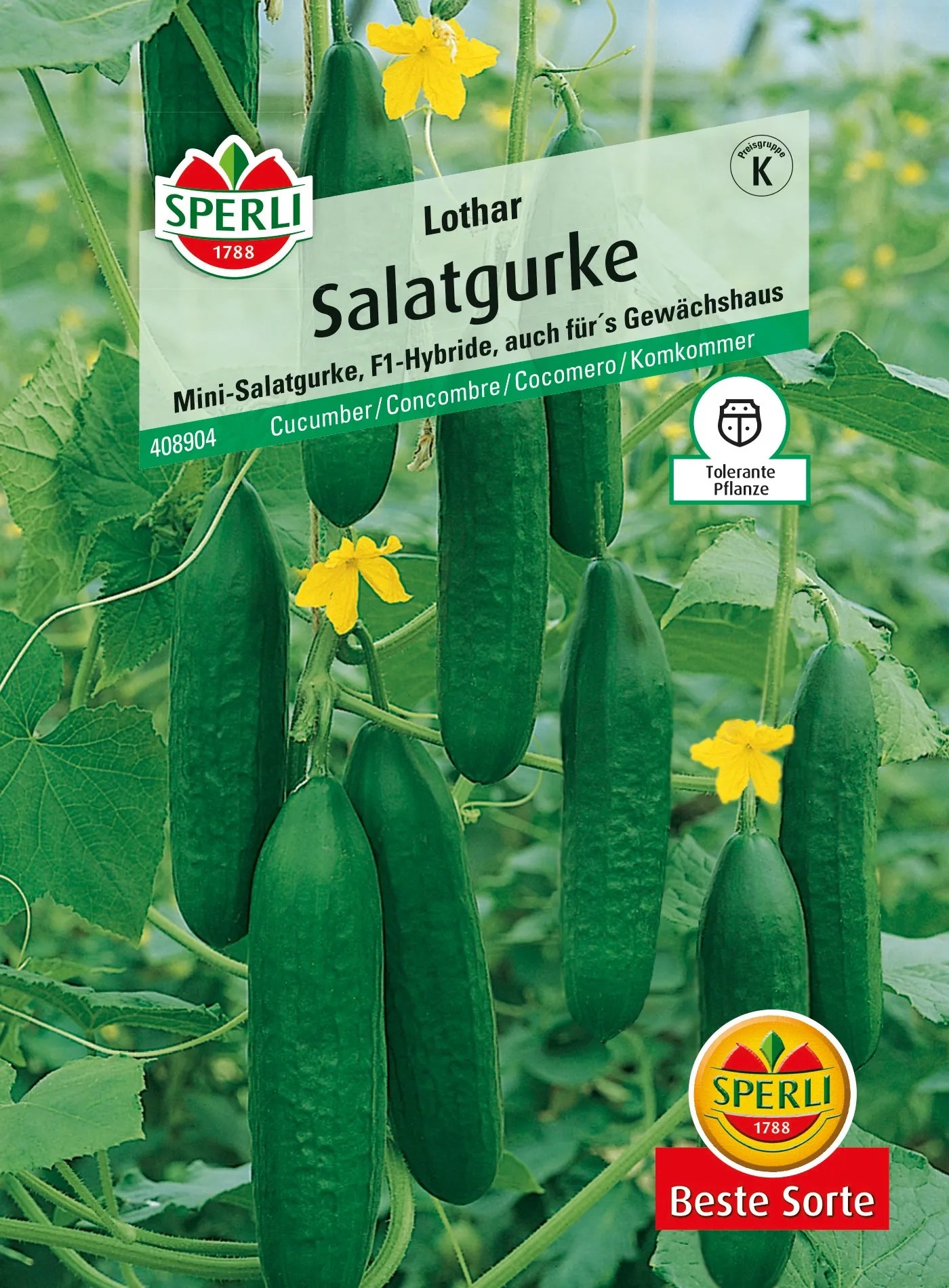 Sperli Salatgurken "Lothar" F1Hybride kaufen bei OBI
