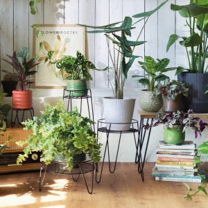 Wagner Pflanzenständer GH 0681 Schwarz Matt Ø 48 cm x 25 cm