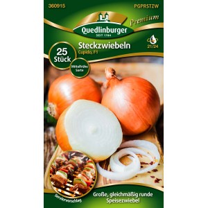 Packung Quedlinburger Steckzwiebeln 'Cupido', gelb, mittelfrüh.