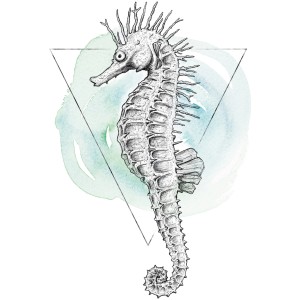 Komar Wandbild: Aquarell-Seepferdchen (40x50 cm). Dekoratives Bild für Wohnräume.