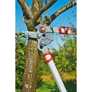 Wolf-Garten Amboss Astschere Basic Plus Power Cut RS 650 beim Schneiden eines Astes.