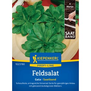 Kiepenkerl Feldsalat Gala Saatband Packung mit Feldsalatpflanzen und Saatband.