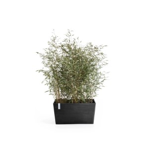 Ecopots Pflanztopf Paris Dunkelgrau 80 cm x 38 cm x 40 cm