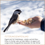 Meise frisst Supravit Winterstreufutter aus einer Hand im Schnee. Energiereiches Wildvogelfutter.