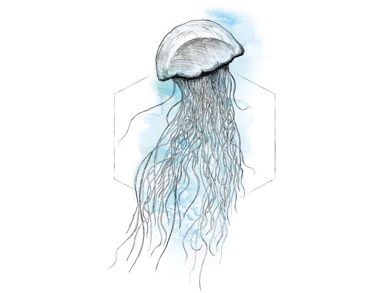 30 Komar bei cm 40 kaufen OBI Wandbild x Watercolor Jellyfish