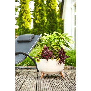 Beiges Siena Garden Pflanzgefäß Oslo (Ø 40x25 cm) mit Pflanzen auf einer Holzterrasse.