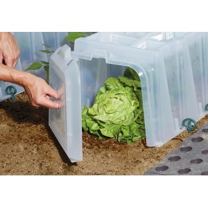Garantia Sunny Endkappen-Set für Pflanztunnel, transparente Kunststoffkappen zum Verschließen des Tunnels.