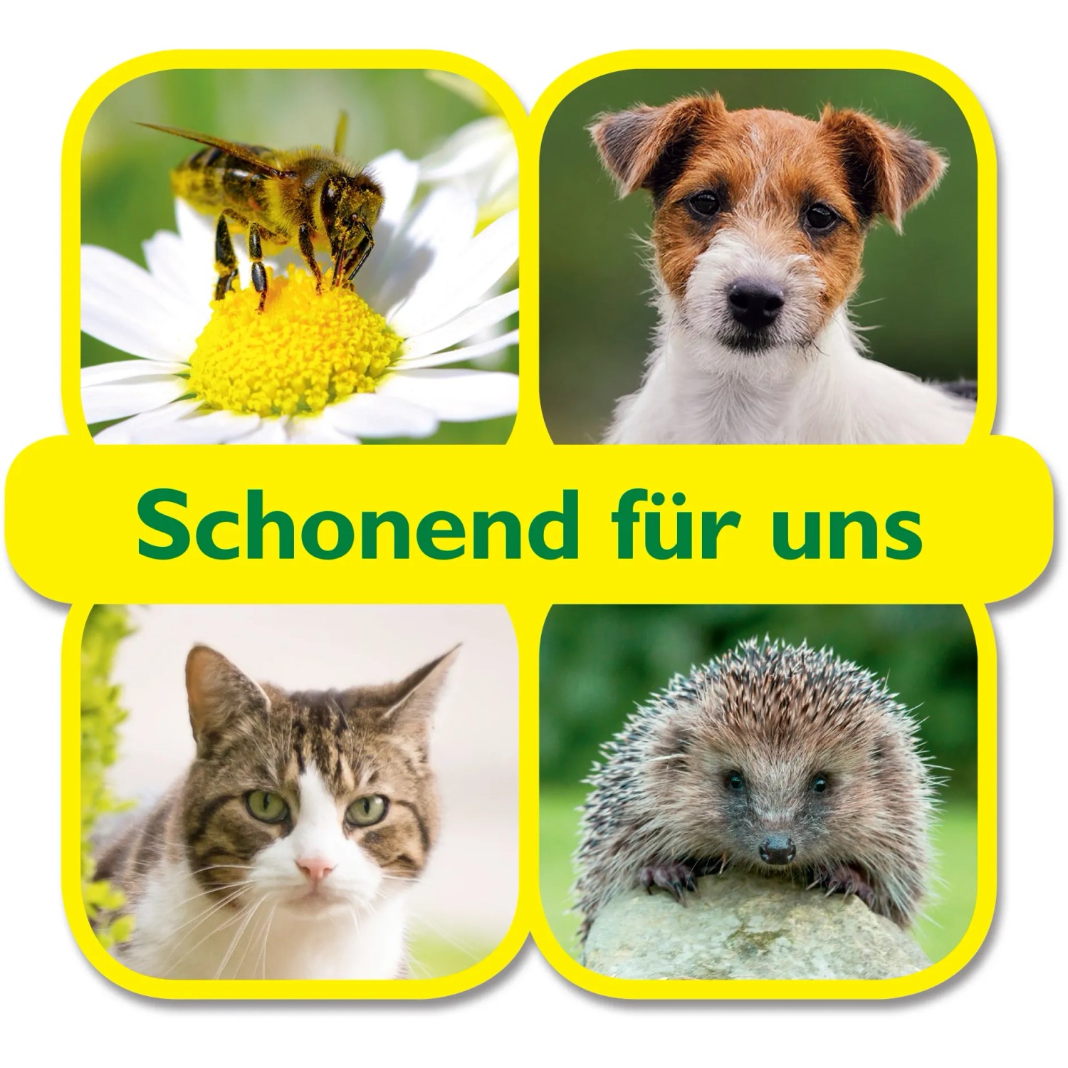 Neudorff Ferramol Schneckenkorn 500 g kaufen bei OBI